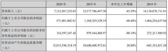 中天金融2020年净利下滑48.4% 董事长罗玉平薪酬101.3万