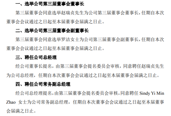 迪生力选举公司董事长、副董事长和聘任高级管理人员
