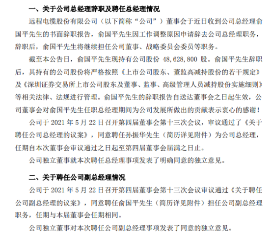 ST远程总经理俞国平辞职 孙振华接任