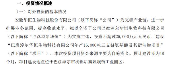 华恒生物全资子公司投资2.5亿建设年产16000吨三支链氨基酸及其衍生物项目