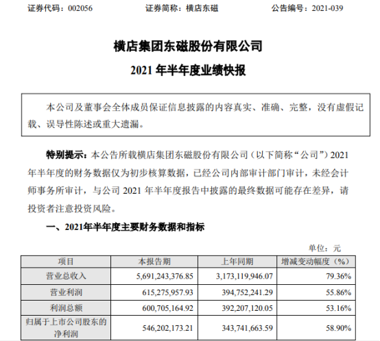 横店东磁2021年上半年净利5.46亿增长58.9% 拓展产业发展空间