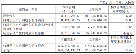 海量数据2021年上半年净利847.46万下滑25.83% 销售费用增长