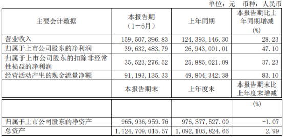 利扬芯片2021年上半年净利3963.25万增长47.1% 投资收益大幅增加