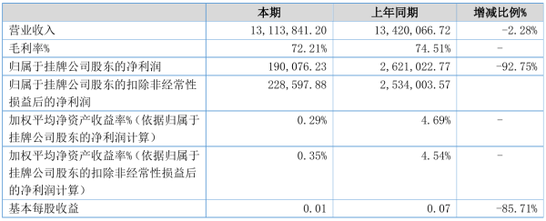 大洋义天2021年半年度净利19.01万元 同比净利减少92.75%