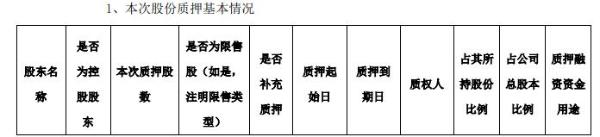 金能科技控股股东王咏梅质押1654.5万股 用于偿还债务