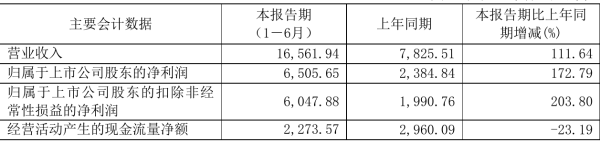 纳微科技2021年半年度净利6505.65万 同比净利增加172.79%