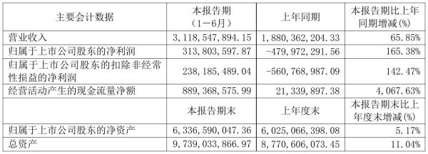 安通控股2021年半年度净利3.14亿元 同比扭亏为盈