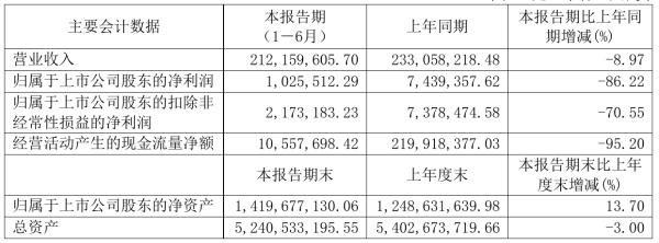 新力金融2021年半年度净利102.55万元 同比净利减少86.22%