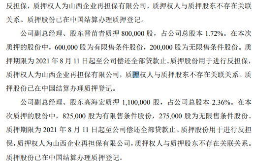 智林股份6名股东合计质押600万股 用于进行反担保