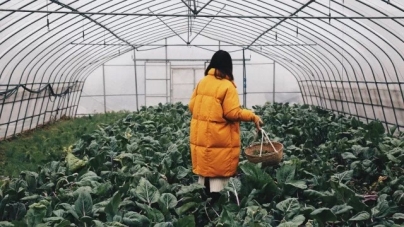 飞鸟和新酒荣获2017“年度自然系女装领导品牌”