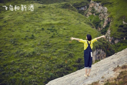 飞鸟和新酒荣获2017“年度自然系女装领导品牌”