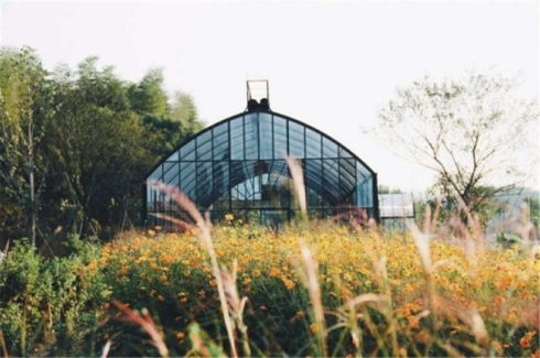 飞鸟和新酒荣获2017“年度自然系女装领导品牌”