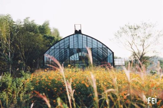 飞鸟和新酒如何打造生活方式类女装品牌