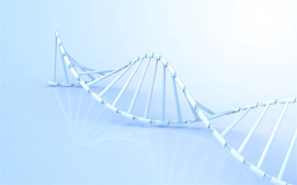 美科学家正研发对抗先天失明的基因编辑人类胚胎 称纯粹出于研究目的