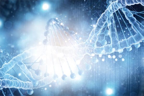 为你的DNA请个“私教”真的有必要吗？