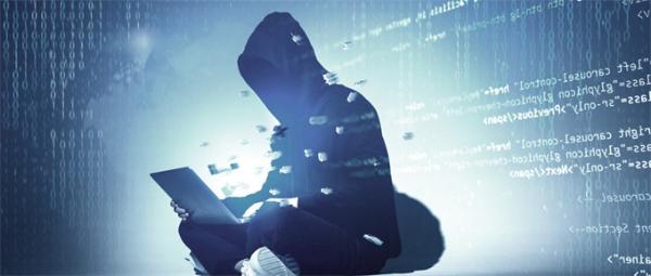 “露露”火了！企鹅号回应盗号：3个月前的事，现在开始补救