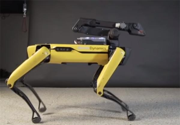 波士顿动力机器人小狗又上线了一项新神技 商用指日可待