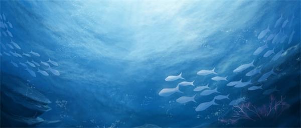 在黑暗的深海怎么拍照？这种用放电来“看”东西的鱼给了科学家灵感