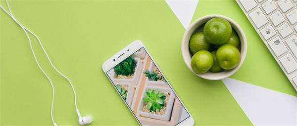 灵不灵？王欣上线新App“灵鸽AI” 网友：披上人工智能的58同城？
