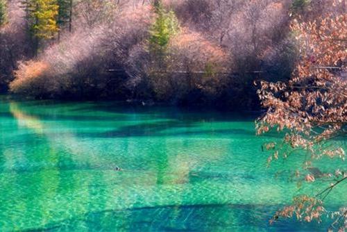 今日起！九寨沟恢复开园预订火爆 多个景点“补妆”后...