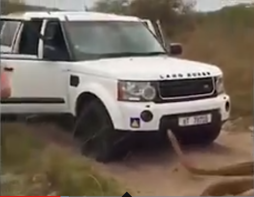 南非一条17英尺长的巨蟒攻击吉普车吓跑游客 还试图爬上车前盖