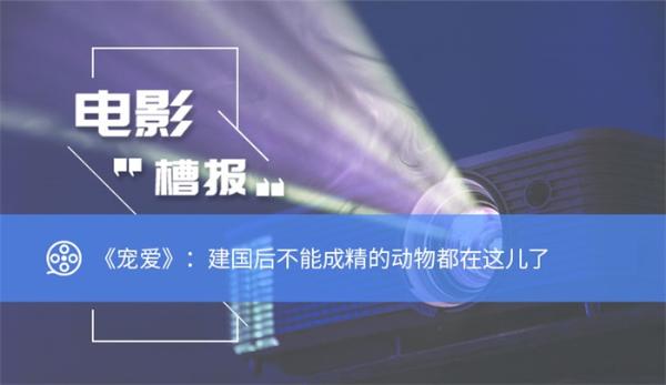 电影“槽报”丨《宠爱》：建国后不能成精的动物都在这儿了