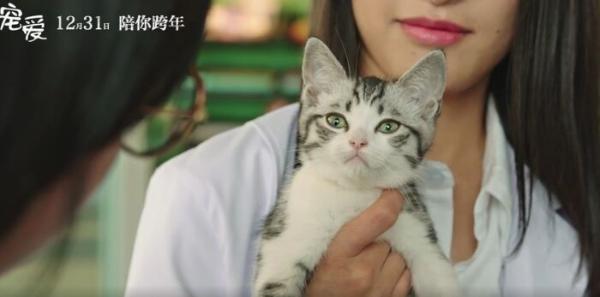 电影“槽报”丨《宠爱》：建国后不能成精的动物都在这儿了