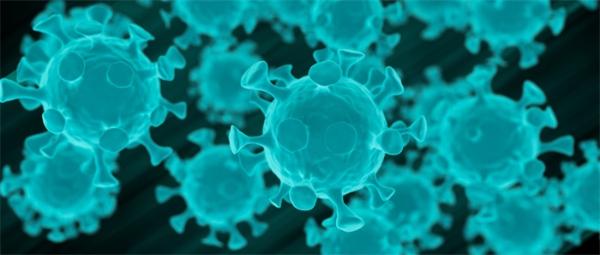 美国、澳洲科研机构已开展新型冠状病毒疫苗研发