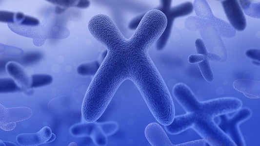 为什么儿童也会患癌症？“惹祸”的可能是染色体外环状DNA