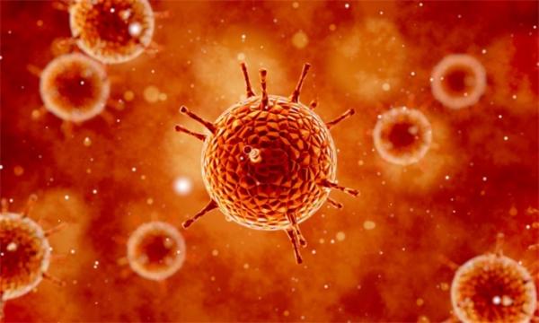 容易误解！中国科学家《柳叶刀》发文疾呼：新型冠状病毒正式命名不妥