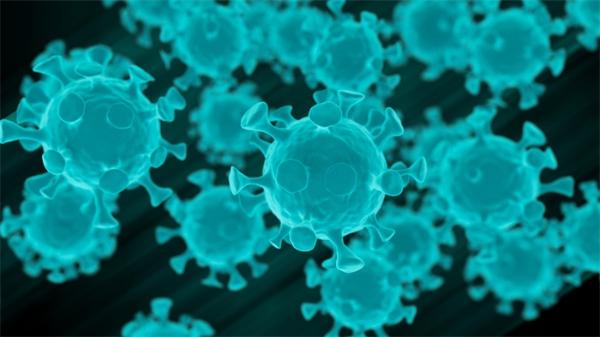 新冠病毒与菊头蝠冠状病毒有关？世卫组织发布最新疫情报告！