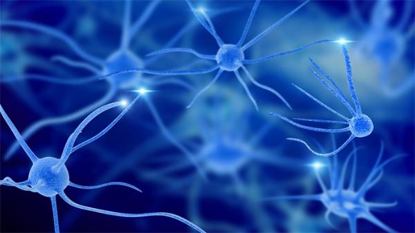 新冠病毒攻击大脑？新研究发现：对神经系统造成重大伤害