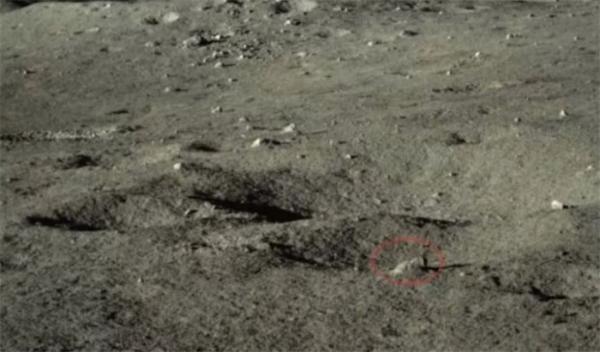 “玉兔2号”月球车在月球背面发现奇怪浅色岩石
