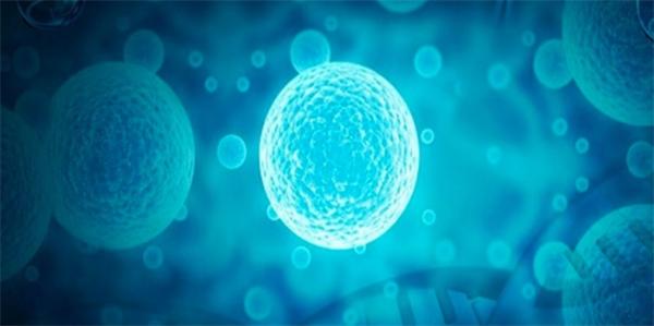 全球致死率第三的癌症！新研究：ARID2可调控肝癌细胞转移 有助改善治疗