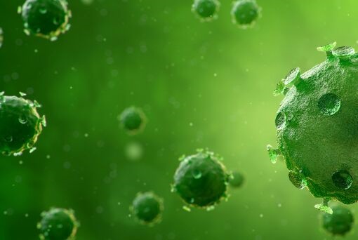 新冠病毒正式命名引发国际争议 石正丽建议改名“传染性急性呼吸综合征冠状病毒”