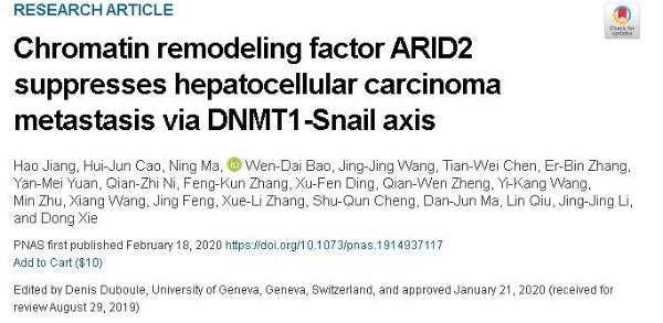 全球致死率第三的癌症！新研究：ARID2可调控肝癌细胞转移 有助改善治疗