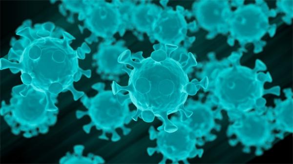 日本成功分离新型冠状病毒毒株 将有助于相关药品及疫苗研发