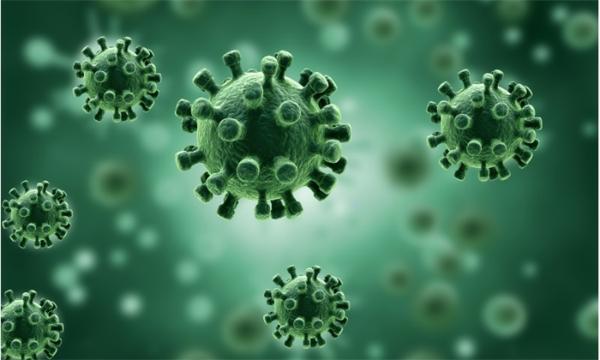 详细分析意大利疫情后 英国率先宣布向新冠病毒“投降”