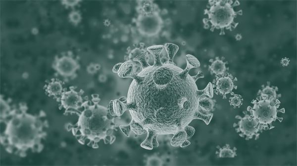 李兰娟团队：新冠病毒已出现可影响致病性的突变，感染差异高达270倍