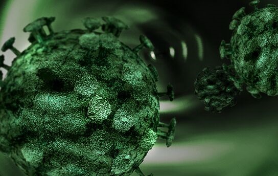新研究：常见冠状病毒具有很强季节性，但新冠病毒还不确定