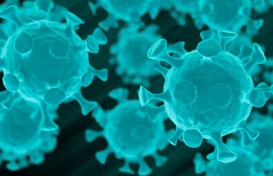 科学家确定两种关键鼻腔细胞为新冠病毒侵入点 从而解释COVID-19的高传播率