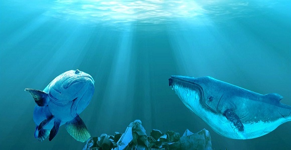 《科学》：深海“垃圾带”每平方米就有190万个微塑料，主要集中在600-900米深处