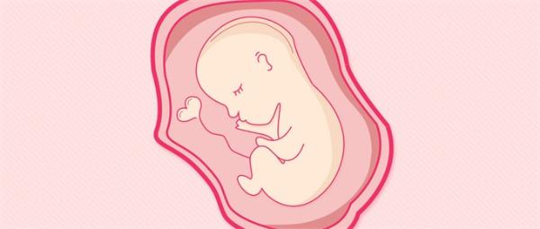 新冠病毒会影响子宫中的婴儿吗？新研究揭示潜在风险：孕妇胎盘出现绒毛水肿及充血