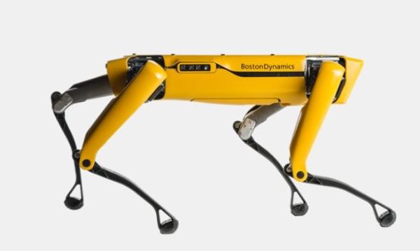 机器狗 又get新技能！波士顿动力机器狗在新西兰放羊，未来将推动农业精准化