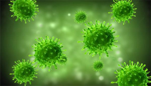 德国发现超750种人类抗体对新冠病毒有效，可阻止病毒在患者体内扩散