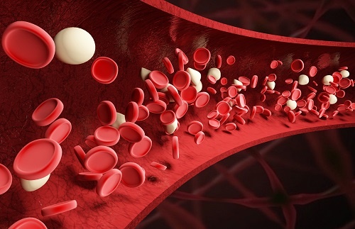 研究发现血液干细胞对免疫有“记忆” 有助于疫苗开发和避免细胞因子风暴