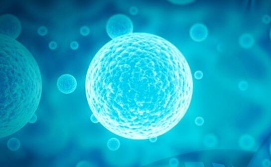 科学家终于搞清楚T细胞如何产生蛋白质 或成为治疗癌症的一大利器