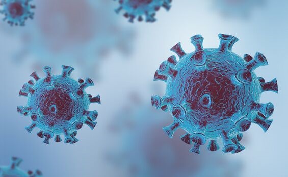疫苗有用！《科学》连发2篇论文：恒河猴感染新冠病毒后再次暴露产生保护性免疫
