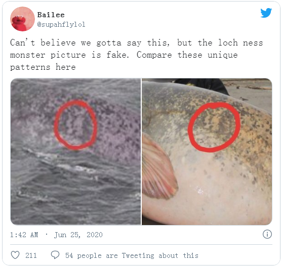 水怪又现身？网友在尼斯湖拍摄到神秘巨型生物：水中露出2.4米身影，背部图案眼熟