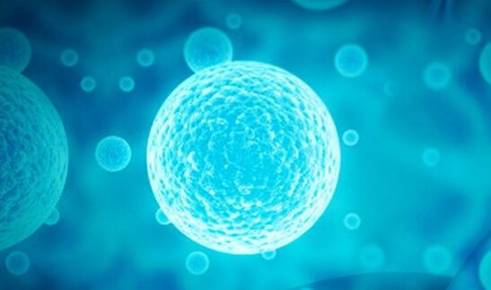 科学家证实通常无害的病毒会攻击心脏电系统 为阻止心律失常提供方向
